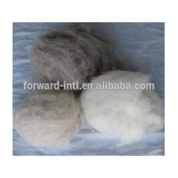 Different Quality with Best Price Hot sale Cashmere Fiber